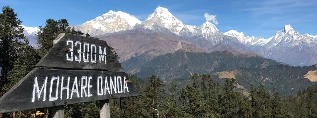 Mohare Danda Trek -10 Days